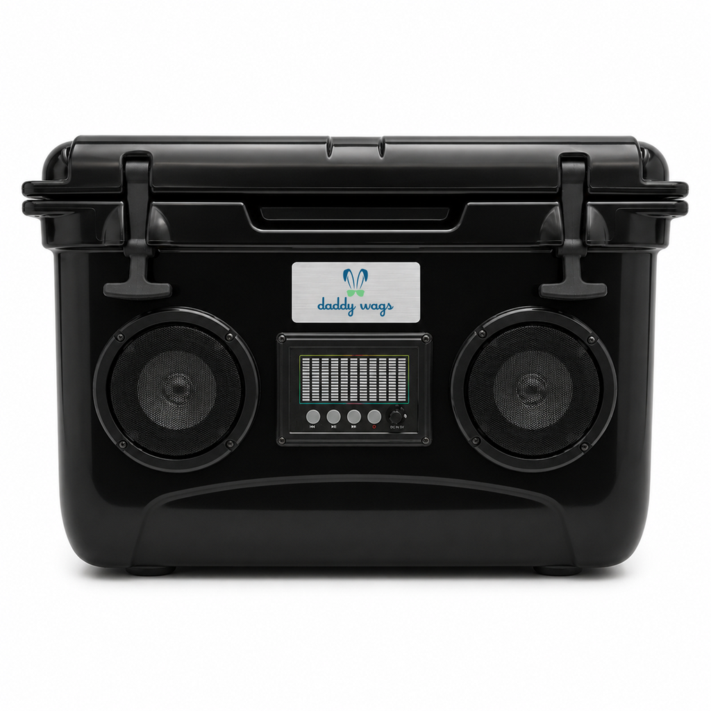 Audio 37