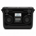 Audio 37